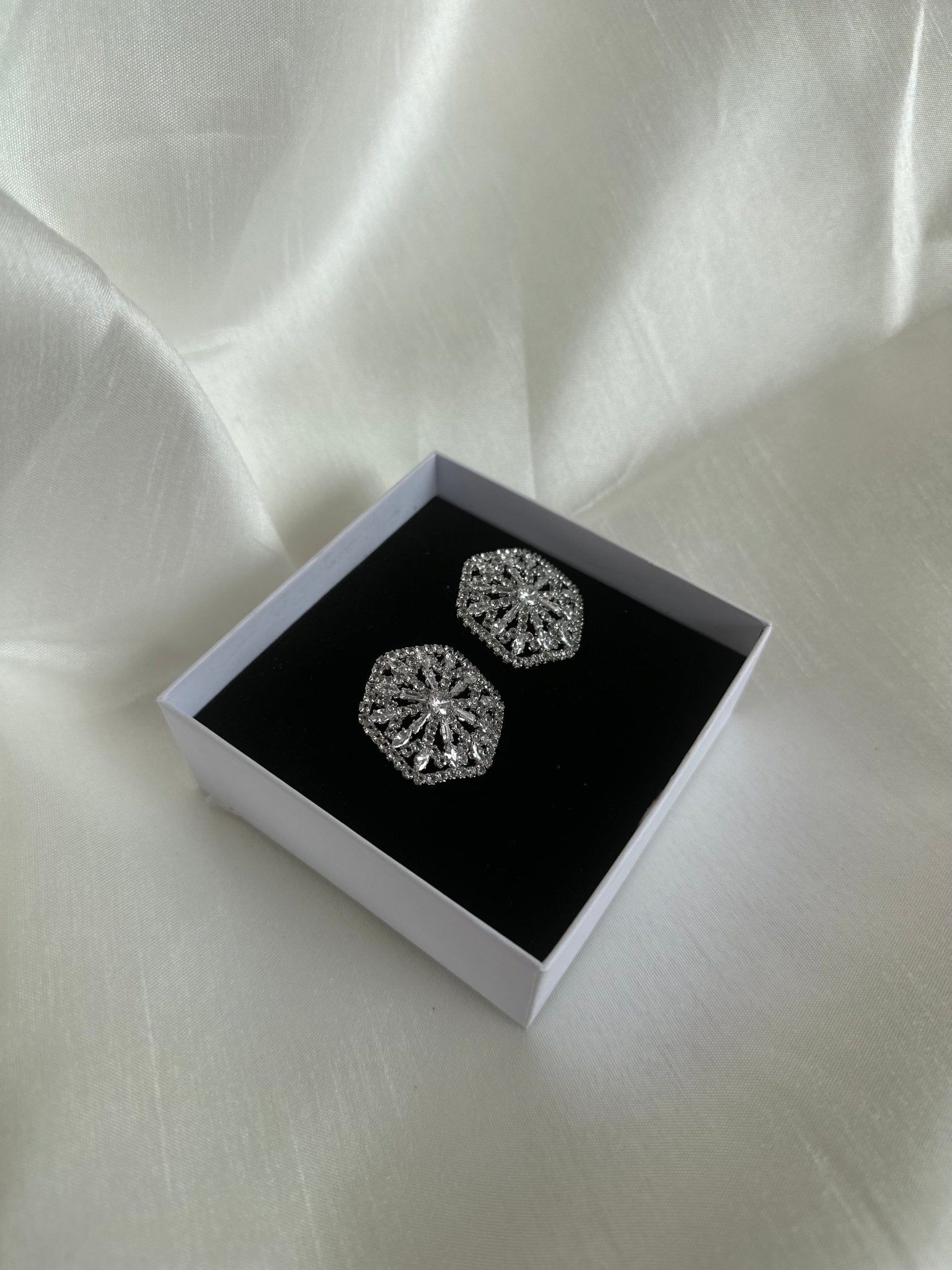 Silver Stone Stud Earrings - DWEEP SARA