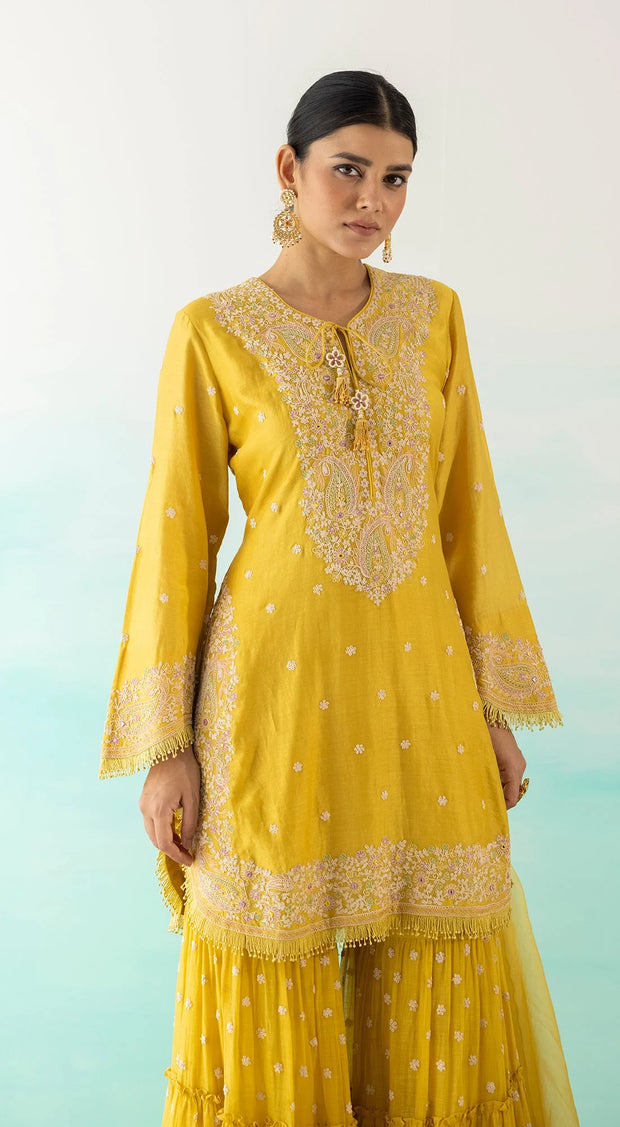 Purple Embellished Hand Embroidered Kurta Sharara Set With Chanderi Dupatta