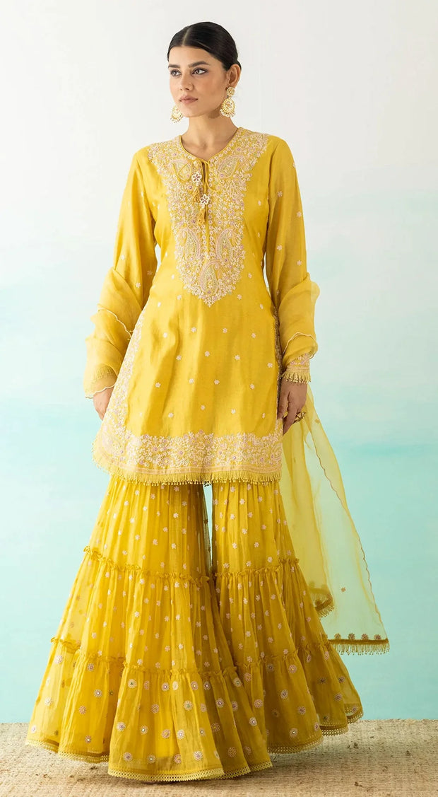 Purple Embellished Hand Embroidered Kurta Sharara Set With Chanderi Dupatta
